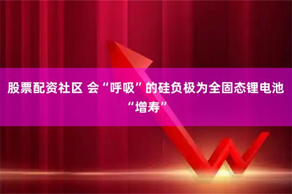 股票配资社区 会“呼吸”的硅负极为全固态锂电池“增寿”