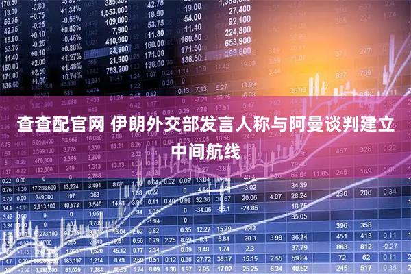 查查配官网 伊朗外交部发言人称与阿曼谈判建立中间航线
