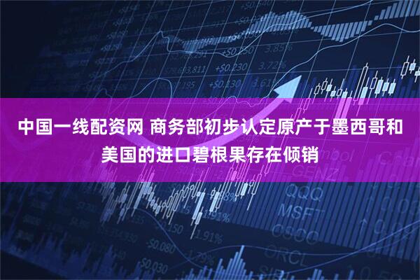 中国一线配资网 商务部初步认定原产于墨西哥和美国的进口碧根果存在倾销